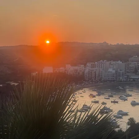 Zammitella סיינט פול ביי